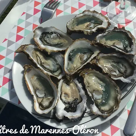 Ferienhaus Escale A L'ile D'oleron Le Château-dʼOléron